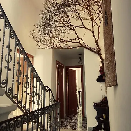 Dhara House Malta