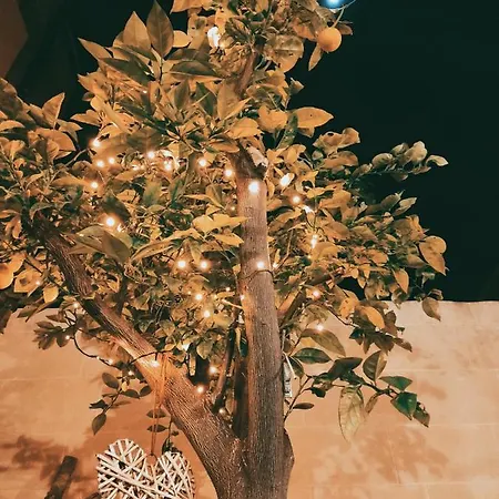 Dhara House Malta Paola