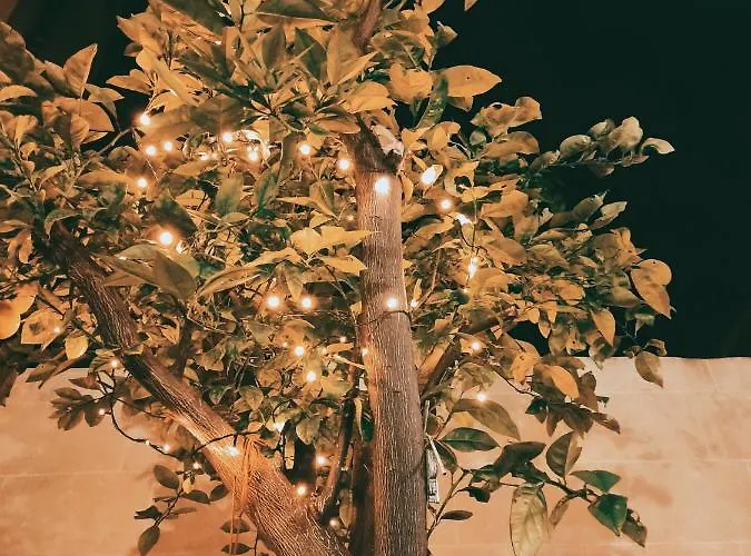 Dhara House Malta Paola