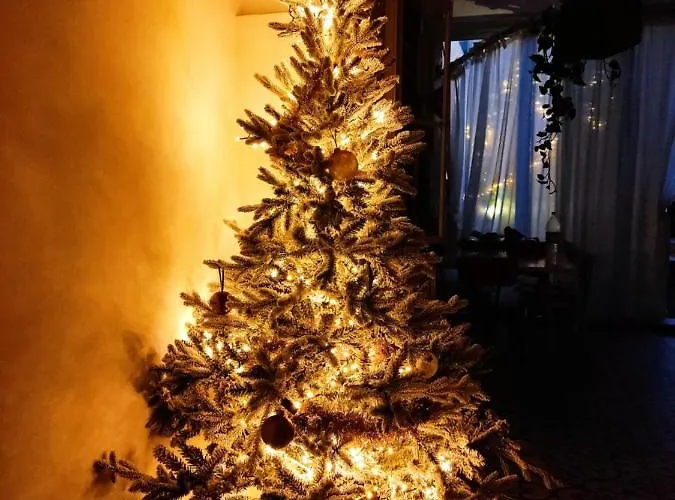 Frühstückspension Dhara House Malta Paola